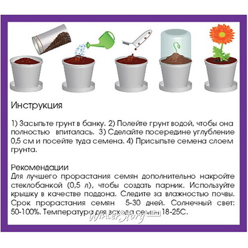 Набор для выращивания цветка Анютины глазки Rostokvisa