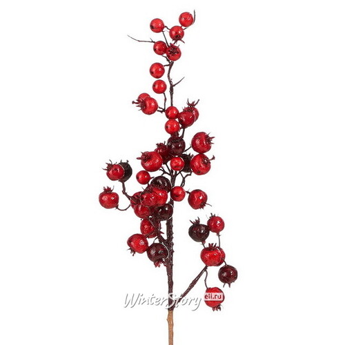 Декоративная ветка с ягодами Arundelio 54 см Edelman
