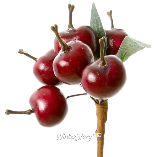 Декоративная ветка Молодильные Яблочки 35 см, красные Hogewoning