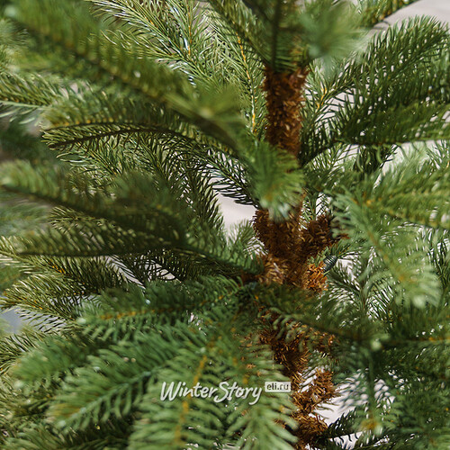Настольная елка в мешочке Норведжен 91 см, ЛИТАЯ 100% National Tree Company