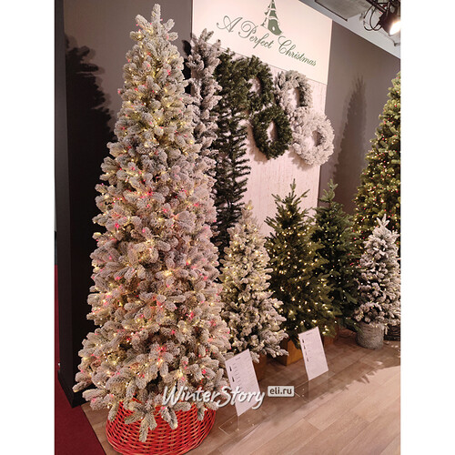 Искусственная стройная елка с гирляндой Джорджия Slim заснеженная 228 см, 2000 красных/теплых белых ламп, ЛИТАЯ + ПВХ A Perfect Christmas