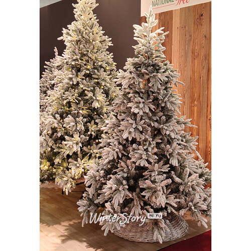Искусственная елка с огоньками Андорра заснеженная 183 см, 250 теплых белых ламп, ЛИТАЯ + ПВХ National Tree Company