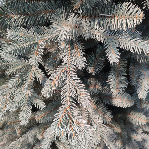 Искусственная голубая елка Гленридж компактная 183 см, ЛИТАЯ + ПВХ National Tree Company