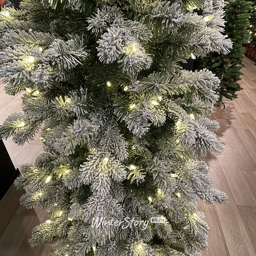 Пристенная искусственная елка с лампочками Шеффилд заснеженная 183 см, 250 теплых белых LED ламп, ЛИТАЯ + ПВХ National Tree Company