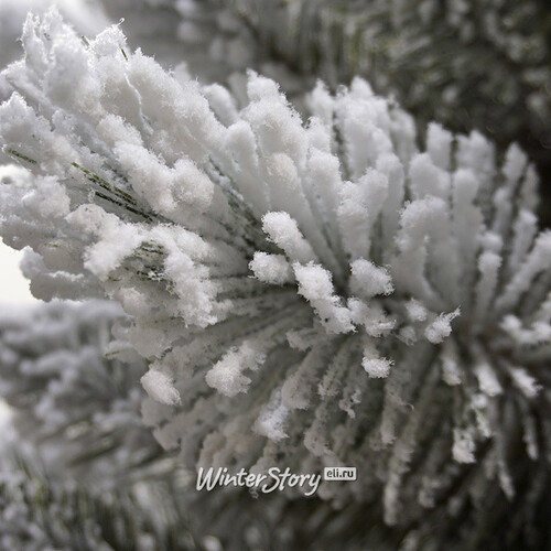 Искусственная елка Вествуд заснеженная 198 cм, ЛЕСКА + ПВХ National Tree Company