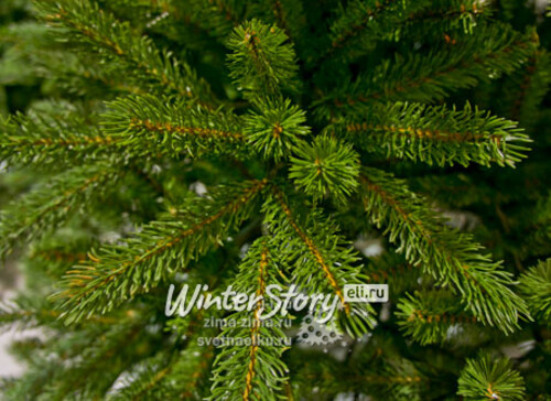 Искусственная елка Джерси 152 cм, ЛИТАЯ + ПВХ, ветки на крючках National Tree Company