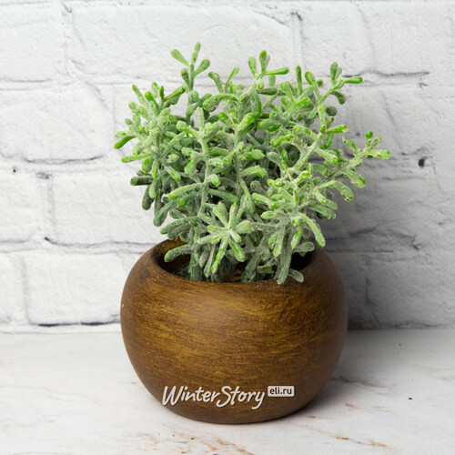 Искусственное растение в горшке Morgana - Крассула 13 см Hogewoning