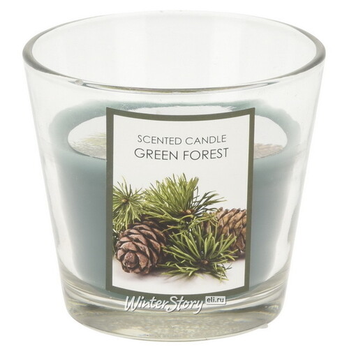 Ароматическая свеча Green Forest 8 см, в стеклянном стакане Koopman