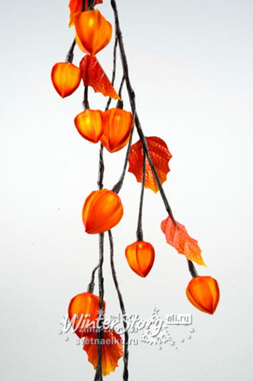 Гирлянда "Физалис Оранжевый", 180 см, 32 теплые белые LED лампы, уцененный Kaemingk