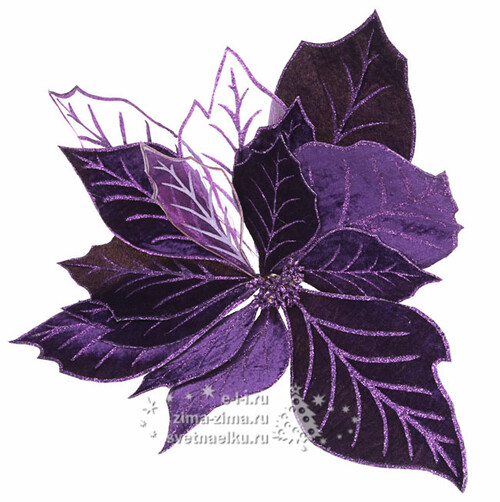 Пуансеттия "Царская", 50 см, фиолетовый Billiet