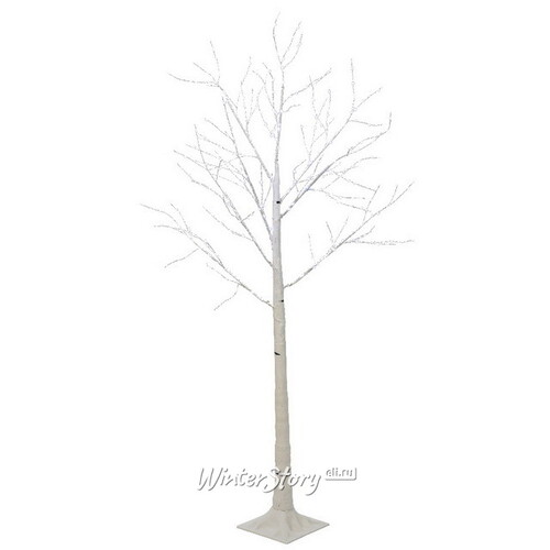 Светодиодное дерево Белая Береза 180 см, 600 холодных белых микро LED ламп, IP44 Kaemingk