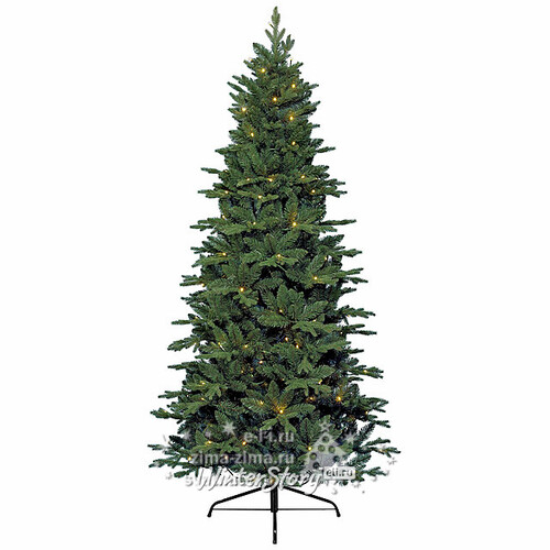 Искусственная елка с гирляндой Фрейзер 180 см, 120 теплых белых LED ламп, ЛИТАЯ + ПВХ Kaemingk