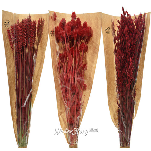 Сухоцветы для букетов Пшеница 50 см красная Kaemingk