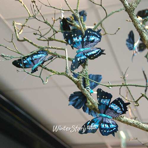 Елочное украшение "Бабочка Тропический Парусник" из перьев, 14 см, 2 шт Kaemingk
