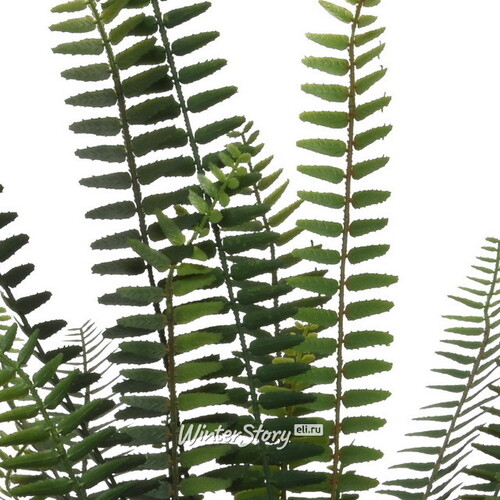Искусственное растение в горшке Папоротник Виреус 60 см Kaemingk