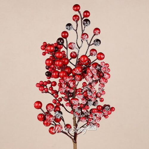Декоративная ветка с ягодами Пауло 55 см, заснеженная Christmas Deluxe