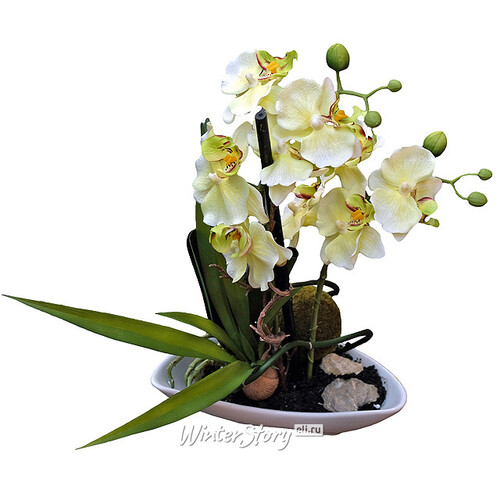Орхидея в кашпо миниатюрная, белая, 29 см Edelman