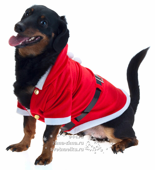 Карнавальный костюм для собаки Санта, 36*20 см Koopman