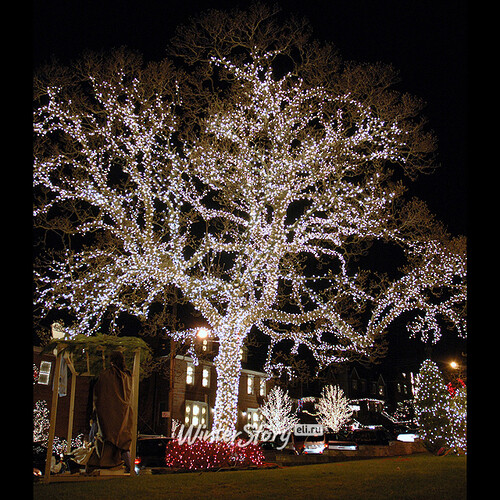 Гирлянды на дерево Клип Лайт Legoled 30 м, 225 холодных белых LED, черный КАУЧУК, IP54 BEAUTY LED