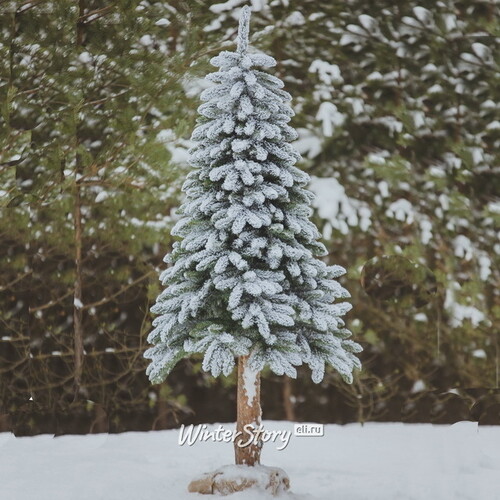 Искусственная елка Dakota заснеженная 180 см с натуральным стволом, ЛИТАЯ + ПВХ Decorland