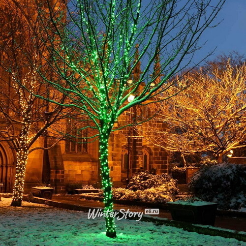 Клип Лайт - Спайдер Quality Light 30 м, 300 зеленых LED ламп, с мерцанием, прозрачный ПВХ, IP44 BEAUTY LED