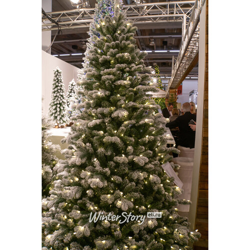 Искусственная елка с гирляндой Шеффилд заснеженная 198 см, 450 теплых белых ламп, ЛИТАЯ + ПВХ National Tree Company