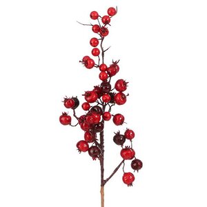 Декоративная ветка с ягодами Arundelio 54 см Edelman фото 1