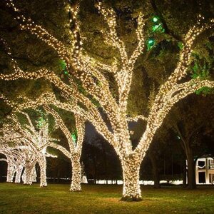 Гирлянды на деревья Клип Лайт - Спайдер 100 м, 1000 теплых белых LED ламп, черный ПВХ, IP44 BEAUTY LED фото 3