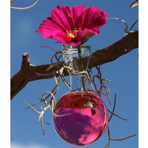 Краситель для воды Pugsley 150 мл розовый Ideas4Seasons фото 4