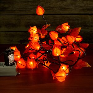 Гирлянда Физалис Оранжевый, 180 см, 32 теплые белые LED лампы Kaemingk фото 2