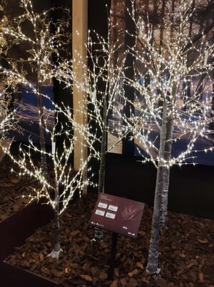 Светодиодное дерево Дивная Онтана 100 см, 300 теплых белых микро LED ламп, IP44 Kaemingk фото 3