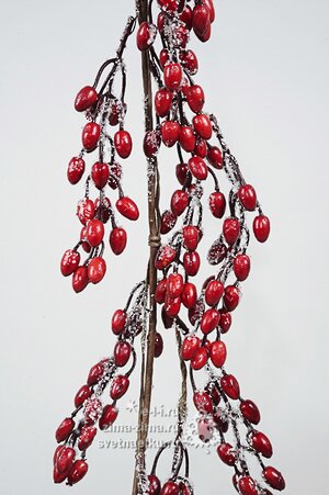 Гирлянда "Шиповник с заснеженными ягодами", 110см Kaemingk фото 1