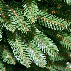 Искусственная елка Pensil Pine 3 м, ПВХ Winter Deco фото 7