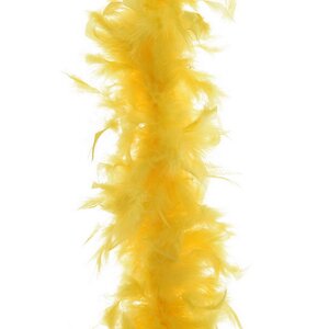 Гирлянда Боа из перьев 184 см желтый Kaemingk фото 1