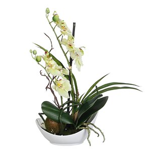 Орхидея в кашпо миниатюрная, белая, 29 см Edelman фото 2
