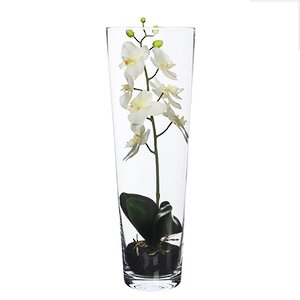 Орхидея искусственная белая 50 см в вазе Edelman фото 1