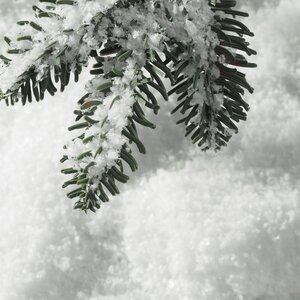 Искусственный снег Crystal Snow 3 л Koopman фото 2