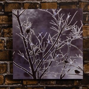 Светодиодная картина Морозное Утро в саду 40*40 см на батарейках Peha фото 1