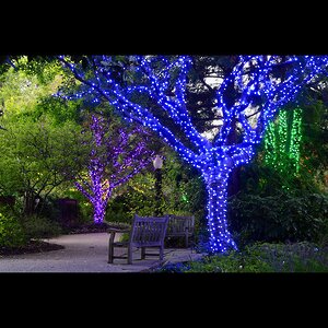 Гирлянды на дерево Клип Лайт Quality Light 100 м, 1000 синих LED ламп, черный ПВХ, IP44 BEAUTY LED фото 3