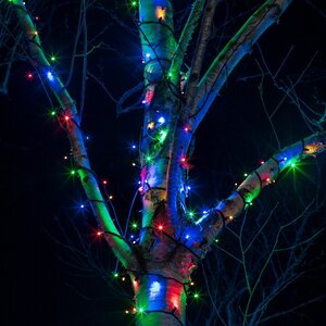 Гирлянды на дерево Клип Лайт Quality Light 100 м, 1000 разноцветных LED ламп, черный ПВХ, IP44 BEAUTY LED фото 2