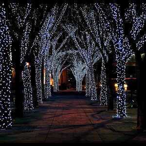 Гирлянды на дерево Клип Лайт - Спайдер 100 м, 900 холодных белых LED, черный СИЛИКОН, IP54 BEAUTY LED фото 1