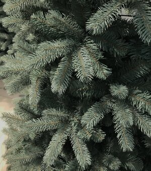 Искусственная голубая ель Дуглас 213 cм, ЛИТАЯ + ПВХ National Tree Company фото 4