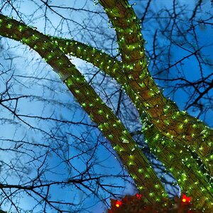 Гирлянды на дерево Клип Лайт Quality Light 30 м, 300 зеленых LED ламп, с мерцанием, прозрачный ПВХ, IP44 BEAUTY LED фото 4