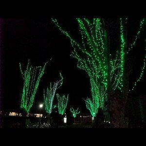 Гирлянды на деревья Клип Лайт - Спайдер 100 м, 1000 зеленых LED ламп, черный ПВХ, IP44 BEAUTY LED фото 1
