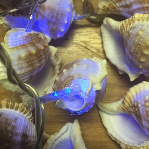 Светодиодная гирлянда Ракушки 20 голубых LED ламп 5.3 м Снегурочка фото 1