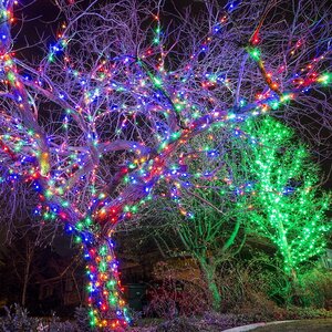 Гирлянды на дерево Клип Лайт Quality Light Cap 60 м, 600 разноцветных LED ламп, прозрачный ПВХ, IP65 BEAUTY LED фото 1