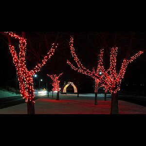 Гирлянды на деревья Клип Лайт - Спайдер 100 м, 1000 красных LED ламп, черный ПВХ, IP44 BEAUTY LED фото 3