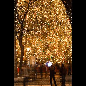 Гирлянды на дерево Клип Лайт Quality Light 60 м, 600 теплых белых LED ламп, черный ПВХ, IP44 BEAUTY LED фото 3