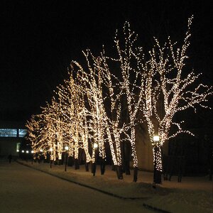 Гирлянды на дерево Клип Лайт Legoled 30 м, 225 теплых белых LED, черный КАУЧУК, IP54 BEAUTY LED фото 1