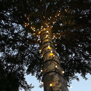 Гирлянды на дерево Клип Лайт Legoled 30 м, 225 желтых LED, черный КАУЧУК, IP54 BEAUTY LED фото 3